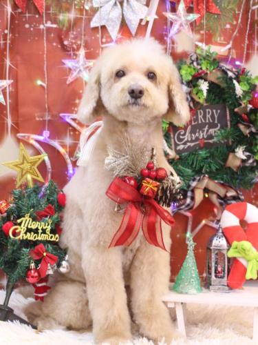 20231230アロマくん